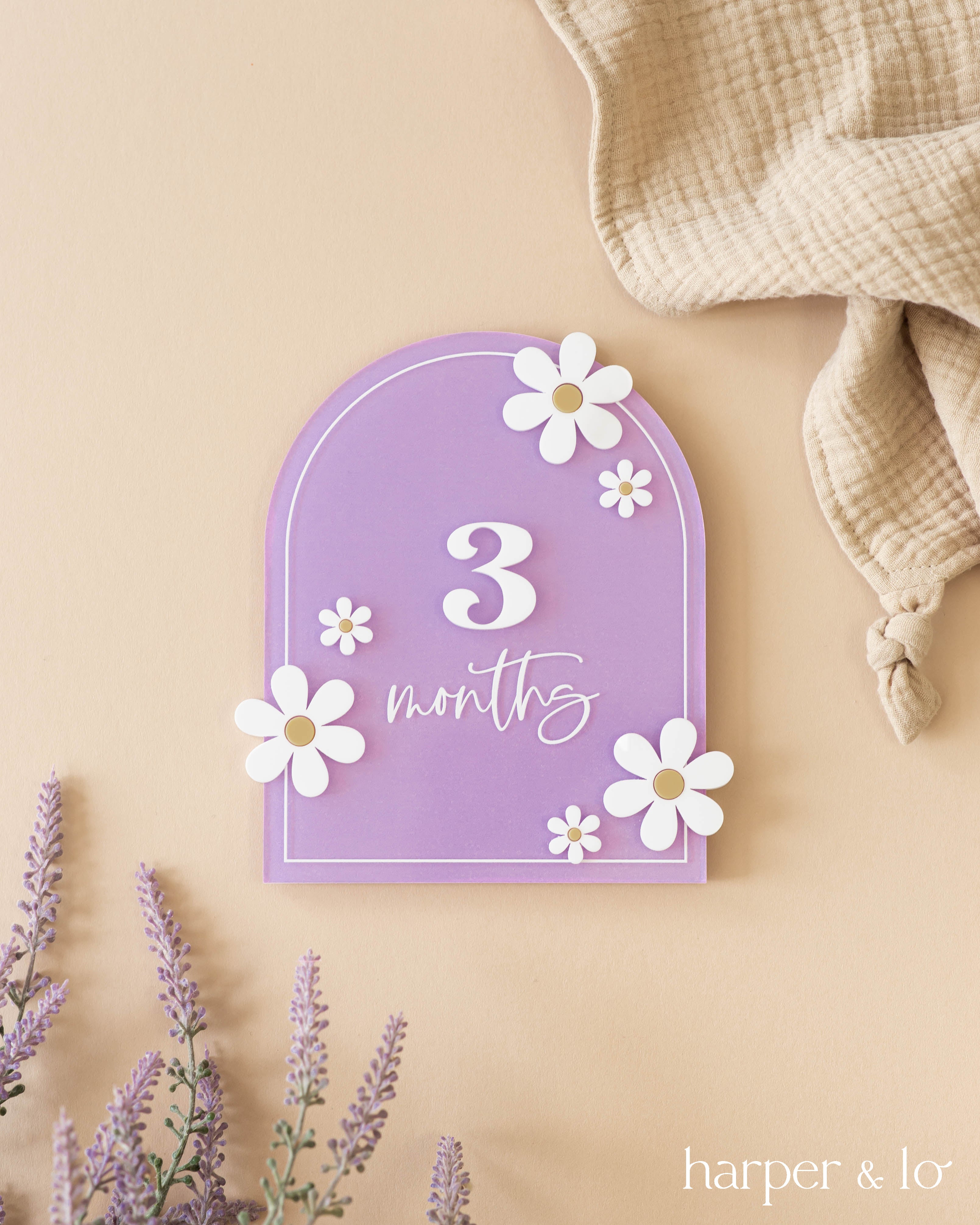 Boho Arched Acrylic Daisy | Interchangeable Milestone Cards – Harper and Lo