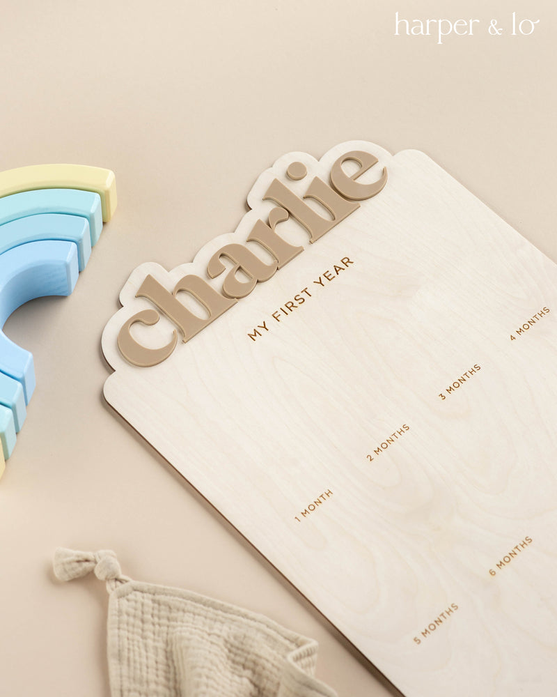 My First Year Photo Sign | Block Letters | Arched – Harper and Lo