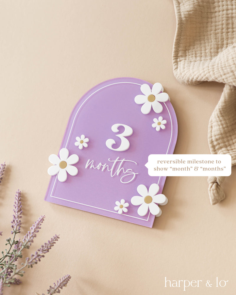 Boho Arched Acrylic Daisy | Interchangeable Milestone Cards