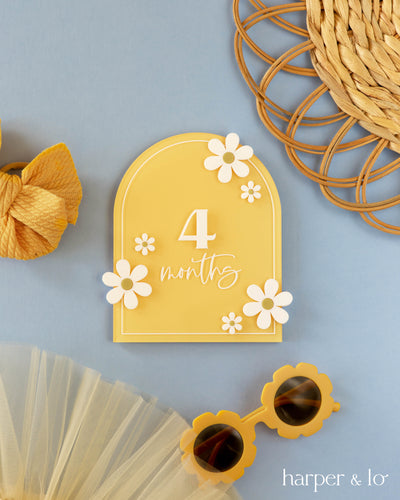 Boho Arched Acrylic Daisy | Interchangeable Milestone Cards