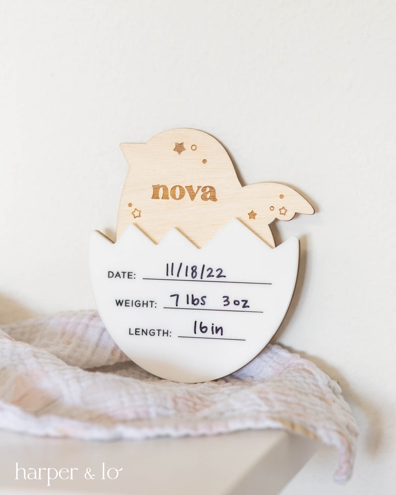 Birth Announcement Sign | Birdie Egg