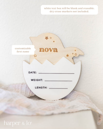 Birth Announcement Sign | Birdie Egg