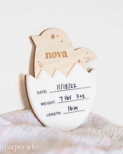 Birth Announcement Sign | Birdie Egg