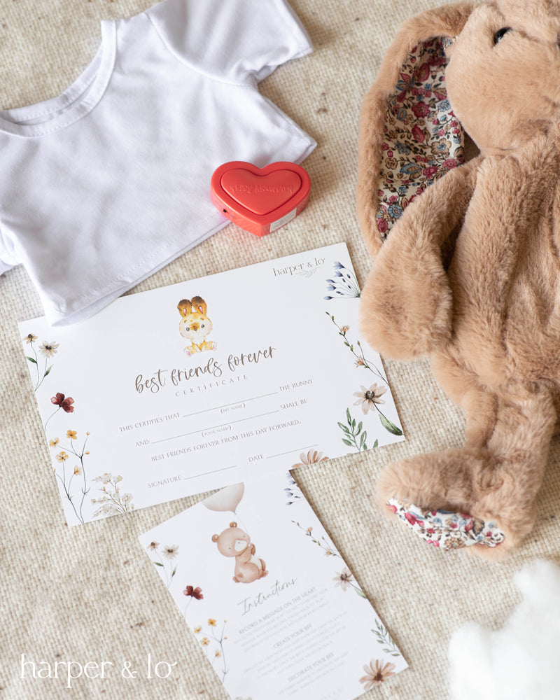 DIY Plush Kit | Bunny