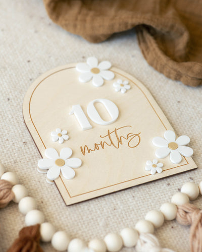 Boho Arched Daisy | Interchangeable Milestone Cards