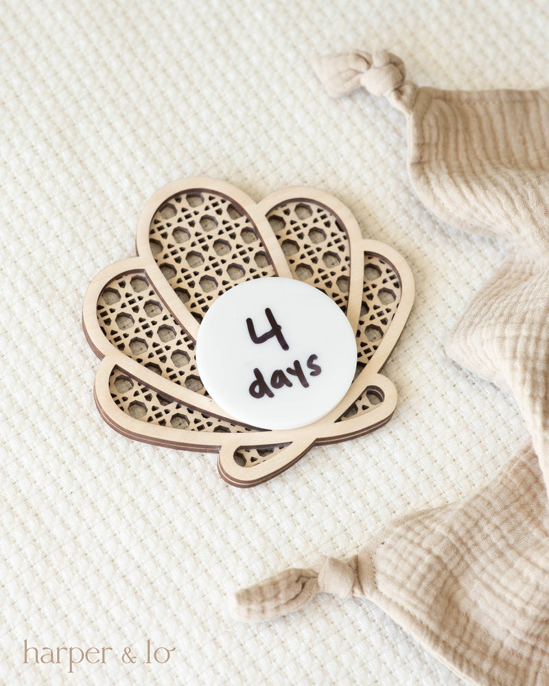 Lattice Milestone Card | Seashell