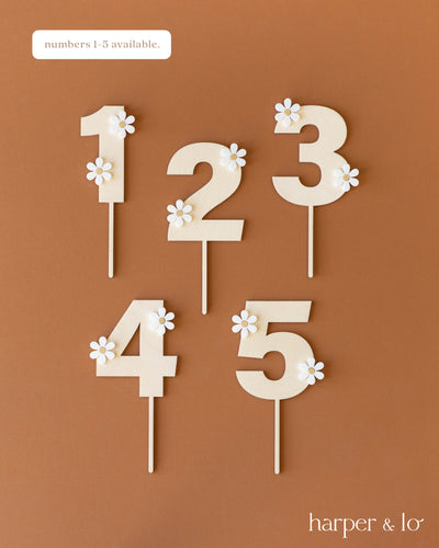 Cake Topper | Boho Daisy | Numbers