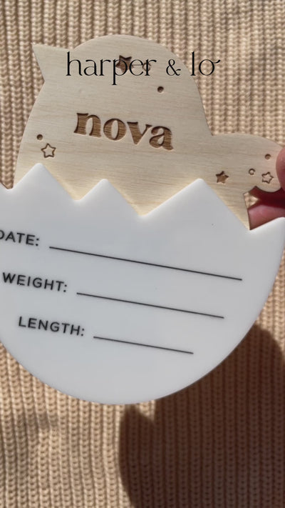 Birth Announcement Sign | Birdie Egg